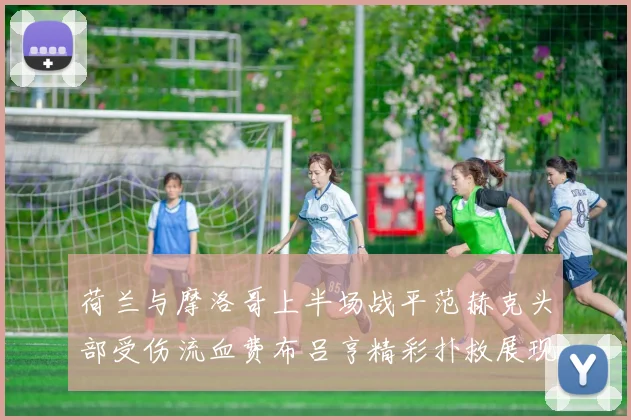 荷兰与摩洛哥上半场战平范赫克头部受伤流血费布吕亨精彩扑救展现实力